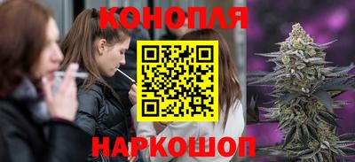 Альфа ПВП Будённовск