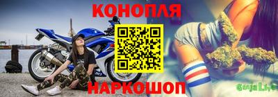 Альфа ПВП Будённовск