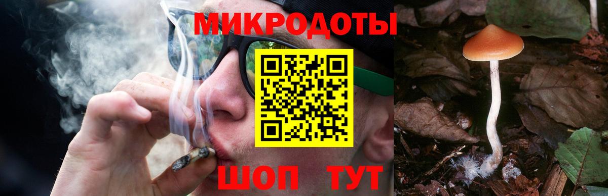 Приморско-Ахтарск  Псилоцибиновые грибы Magic Shrooms  Вход с VPN 